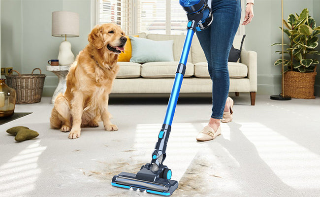 Most Versatile Vacuum Cleaners for Pet Owners in 2022